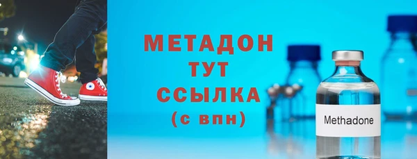 шишки Надым