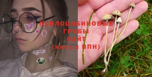 соль ск Михайловск