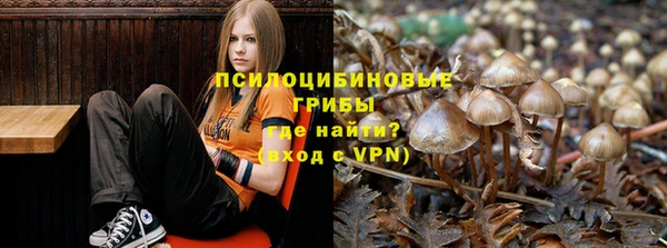 трава Навашино