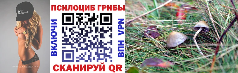 Галлюциногенные грибы мицелий  цена наркотик  Никольское 